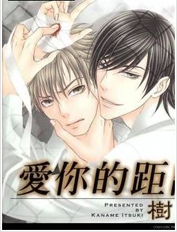 爱你的距离,爱你的距离漫画
